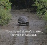 FB_IMG_1526895533751.jpg FB_IMG_1526895533751.jpg