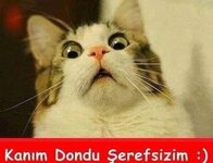 CEZnMMJWAAETf7y.jpg