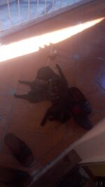 IMG-20180522-WA0000.jpeg