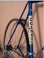 colnago_06.jpg