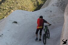 IMG_1257.jpg IMG_1257.jpg