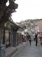 IMG_4202.JPG