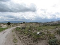 IMG_4225.JPG