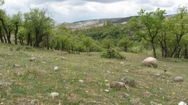 IMG_4230.JPG