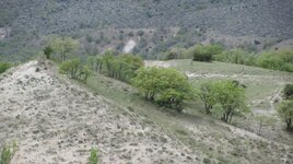IMG_4231.JPG