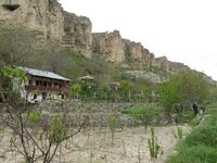 IMG_4239.JPG