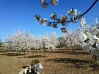 10423700_10153099505954300_7796692741957824017_n.jpg 10423700_10153099505954300_7796692741957824017_n.jpg