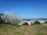 11126892_10153090849909300_8524143672754454967_n.jpg 11126892_10153090849909300_8524143672754454967_n.jpg