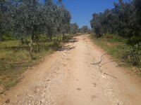 11140407_10153090850029300_1322224836890274907_n.jpg 11140407_10153090850029300_1322224836890274907_n.jpg