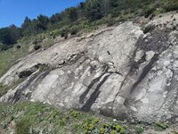 11143587_10153071930684300_5781627712531724607_n.jpg 11143587_10153071930684300_5781627712531724607_n.jpg