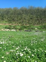 11146280_10153090850334300_8429353489372179439_n.jpg 11146280_10153090850334300_8429353489372179439_n.jpg