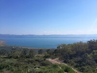 11146296_10153090850669300_886138202442051746_n.jpg 11146296_10153090850669300_886138202442051746_n.jpg