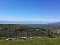 11150834_10153099505864300_3274590273048735947_n.jpg 11150834_10153099505864300_3274590273048735947_n.jpg