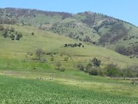 11152702_10153071929854300_5143221666517347888_n.jpg 11152702_10153071929854300_5143221666517347888_n.jpg