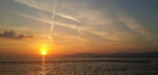 11155093_10153081264994300_246876724450407237_o.jpg 11155093_10153081264994300_246876724450407237_o.jpg