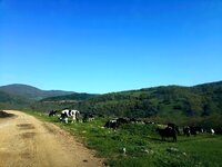 11174849_10153099505419300_1345844497478653597_n.jpg 11174849_10153099505419300_1345844497478653597_n.jpg