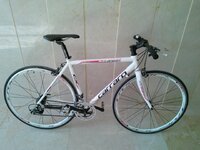 carraro 1.jpg carraro 1.jpg