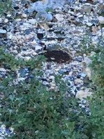 IMG_3840.JPG IMG_3840.JPG