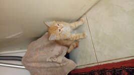 DSC_2078.JPG