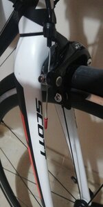 speedster_105 (1).jpg