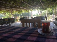 1C28C260-6C38-4113-A2A6-A750C7EBDF3A.jpeg 1C28C260-6C38-4113-A2A6-A750C7EBDF3A.jpeg