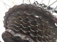 IMG-20180720-WA0003.jpg