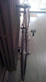 IMG-20180722-WA0028.jpeg IMG-20180722-WA0028.jpeg