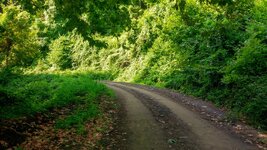 LRM_EXPORT_20180729_164433.jpg LRM_EXPORT_20180729_164433.jpg