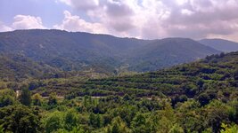 LRM_EXPORT_20180729_172433.jpg LRM_EXPORT_20180729_172433.jpg