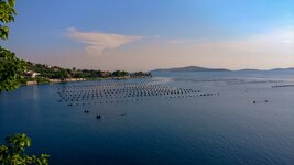 LRM_EXPORT_20180729_232525.jpg LRM_EXPORT_20180729_232525.jpg