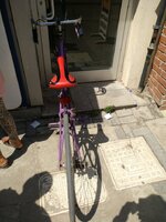 IMG_20180816_143156.jpg