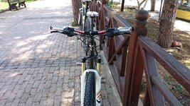 DSC_0016.JPG