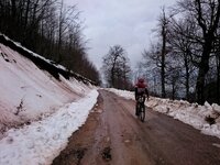 DSC_1917-01.jpeg