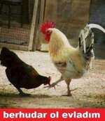 39917072_2081789145186489_7249767017392111616_n.jpg 39917072_2081789145186489_7249767017392111616_n.jpg