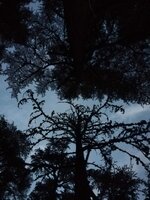 IMG_20180819_200815.jpg IMG_20180819_200815.jpg