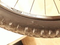 20180908_150511.jpg 20180908_150511.jpg