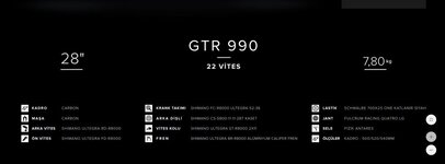 gtr990.JPG