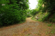 20543960_10213454517347366_4470120124308462342_o.jpeg.jpg 20543960_10213454517347366_4470120124308462342_o.jpeg.jpg