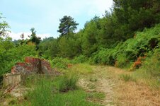 20545354_10213454529347666_4220968983728181043_o.jpg 20545354_10213454529347666_4220968983728181043_o.jpg