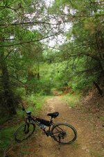 20545633_10213454530987707_1154079334181240934_o.jpg 20545633_10213454530987707_1154079334181240934_o.jpg