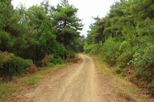 20616829_10213454519027408_6781129118522836944_o.jpg 20616829_10213454519027408_6781129118522836944_o.jpg