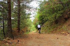 20626568_10213454509427168_5635869049482368042_o.jpg 20626568_10213454509427168_5635869049482368042_o.jpg