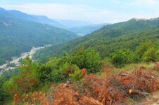 20643336_10213454526627598_632021740386810216_o.jpg 20643336_10213454526627598_632021740386810216_o.jpg