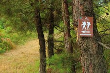 20645249_10213454527507620_4146673864835112718_o.jpg 20645249_10213454527507620_4146673864835112718_o.jpg