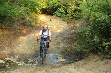 40560286_10216628742621014_4331741553312661504_o.jpg 40560286_10216628742621014_4331741553312661504_o.jpg