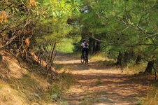 40600270_10216628752181253_3313781132465537024_o.jpg 40600270_10216628752181253_3313781132465537024_o.jpg