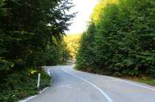 41869148_10216736857763825_6906811207336853504_o.jpg 41869148_10216736857763825_6906811207336853504_o.jpg