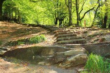 41807178_10216737066049032_6140919870176362496_o.jpg 41807178_10216737066049032_6140919870176362496_o.jpg