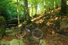 41843205_10216737067609071_4684841376041402368_o.jpg 41843205_10216737067609071_4684841376041402368_o.jpg