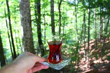 41863301_10216737072449192_1453589062370721792_o.jpg 41863301_10216737072449192_1453589062370721792_o.jpg